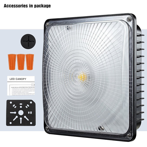 Canopy Light Slim 70W 5000K Daylight