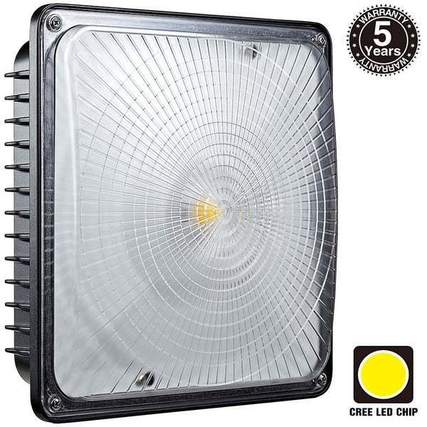 Canopy Light Slim 70W 5000K Daylight