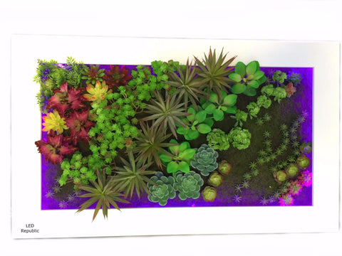 HISUN LED 3D Artificial Plant Simulation Flower Frame Wall Decor Home Garden Wall Hanging Flower